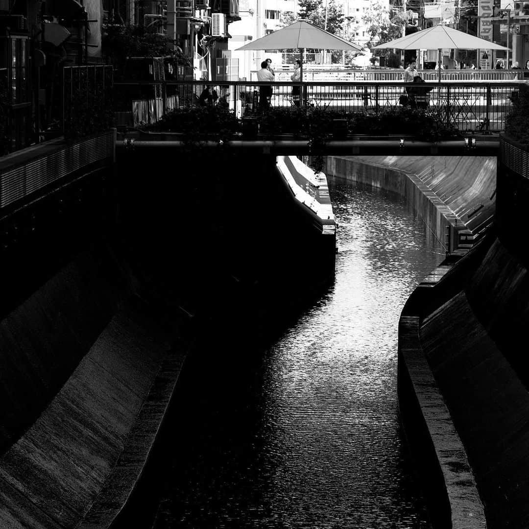 naotakeのインスタグラム：「川 - A stream / X-T2 & Snapseed, 20200620 . . 出勤の土曜日に限って晴れるとは、よほど普段の行いがまずいのか。 . . #spicollective #royalsnappingartists #infamous_family #rsa_main #infinity_photo_cult #2_fineart #jp_gallery_member #jp_gallery_bnw #trb_bnw #wp_bnw  #bnw_life #bnwlife_member #bnw_life_shots #bnw_captures #world_bnw #top_bnw #team_jp_ #team_jp_モノクロ #ig_energy_bw #ig_nihon #streetphotographybnw #igersjp #blackandwhite #bnw #bnwphoto #monochrome #bw #bnwphotography #今日もx日和 #fujifilm」