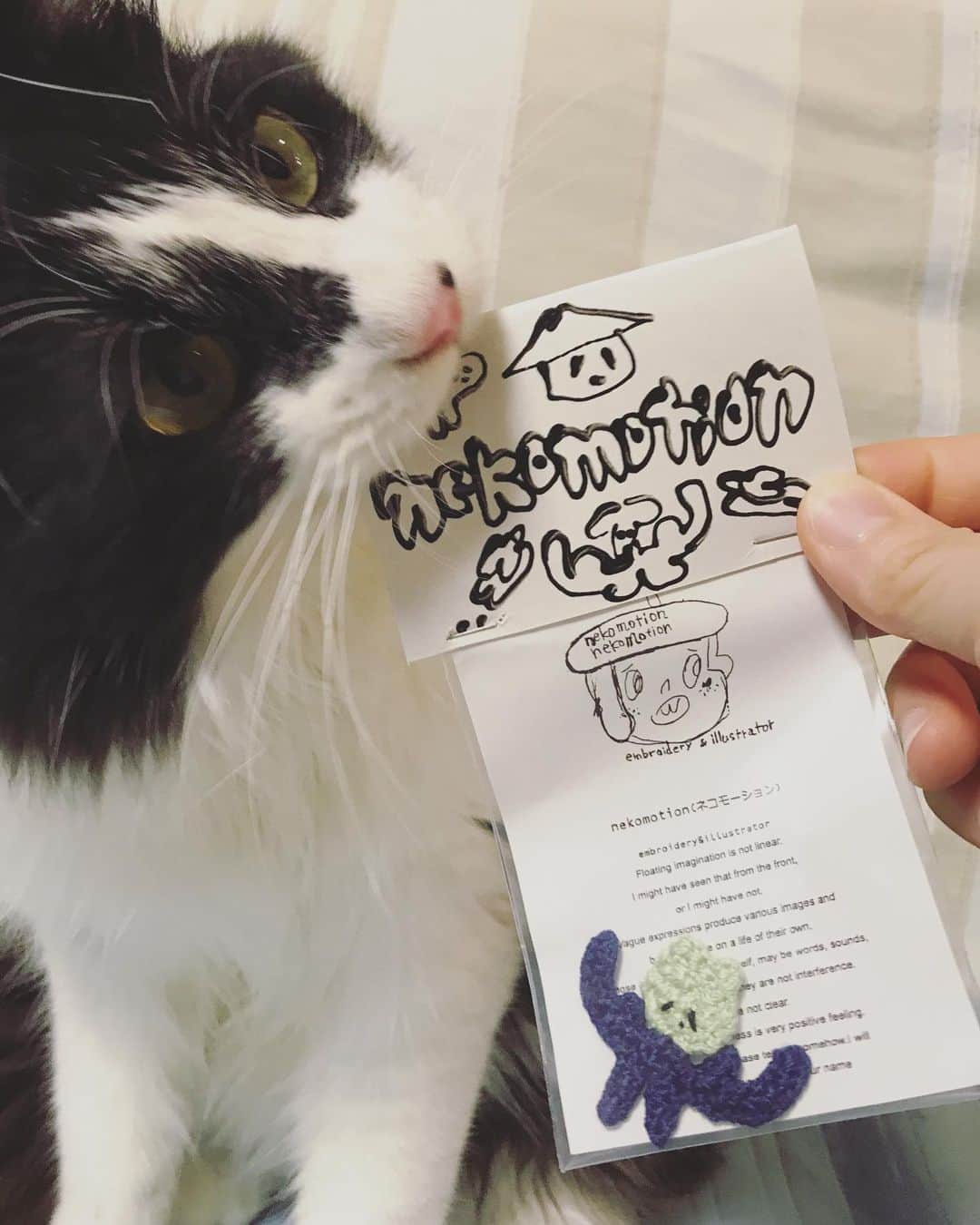 もじゃころのインスタグラム：「以前チョッチュ具志コロペッペ刺繍キャップを作っていただいたネコモーションさん @nekomotion_ から免疫マッチョくんが届きました☺️コロナで大変な中みんなが元気になれるような活動されてて私もパワーのおすそ分けいただきました💪💪💪 ネコモさんありがとうございます☺️✨✨ #免疫もこころもマッチョに  #坂東玉隠しシャシャ丸」