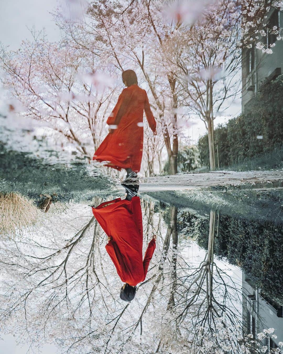 wacameraのインスタグラム：「Sakura moment 昨日は週末のお忙しい中、#しんやとよーへい　オンラインサロン内で開催しましたスマホレタッチ講座にお越しくださったみなさま、ありがとうございました！  スマホ歴10年超、落とした写真アプリ数知れず(200〜300個)、というスマホを愛してやまない私がなぜパソコンを使わずにスマホでRAW現像をしたり、レタッチをしたりするのか、どうやっているのか、どんなアプリを使っているのかなどなどお話しさせてもらいました。 気がついたら2時間を超えてしまい、お疲れ様の中、長々ととお付き合いいただいたこと、感謝しかありません💦 また、私にとっても普段の行動をアウトプットすることでボーーと考えずに動かしている手を説明しながら実践することで改めて気がつく点や、改善すべき箇所などを身をもって知ることができました。  あの場を快く設けてくださったサロンオーナーの　@t.1972 @s.1972 さんと　@yohei_sawamura さんにも感謝です。 また今度はオフラインでお会いできることを楽しみに、今日も指先レタッチに勤しみたいと思います！ありがとうございました✨」