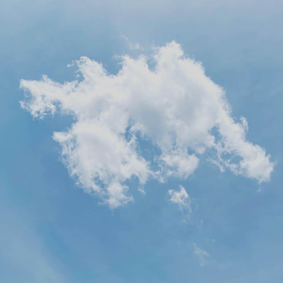 石榑亜紀子さんのインスタグラム写真 - (石榑亜紀子Instagram)「‪久しぶりのランニングは 6.3キロで滝汗かきました🏃‍♀️💦💦 そうか、あした夏至なのか  暑いけど、 割とすがすがしく感じました✨  関東はあすは きょうより雲が広がりそうです☁️ ‬  #空 #青空 #ラン #ラン二ング #ランニング女子 #マスクラン #ランニング好きな人と繋がりたい #空が好きな人と繋がりたい #instagood #instarun #run #runner #running #nrc #nrctokyo #ラン活 #ダイエット #ジョギング #ランナー #ランニング部  #走る気象予報士 #アスリートフードマイスター2級  #🏃‍♀️ #ランスタグラム #ハシリマシタグラム #1歳 #赤ちゃんのいる暮らし #新米ママ #赤ちゃんのいる生活 ‪#あすは夏至‬」6月20日 11時54分 - guregure_46