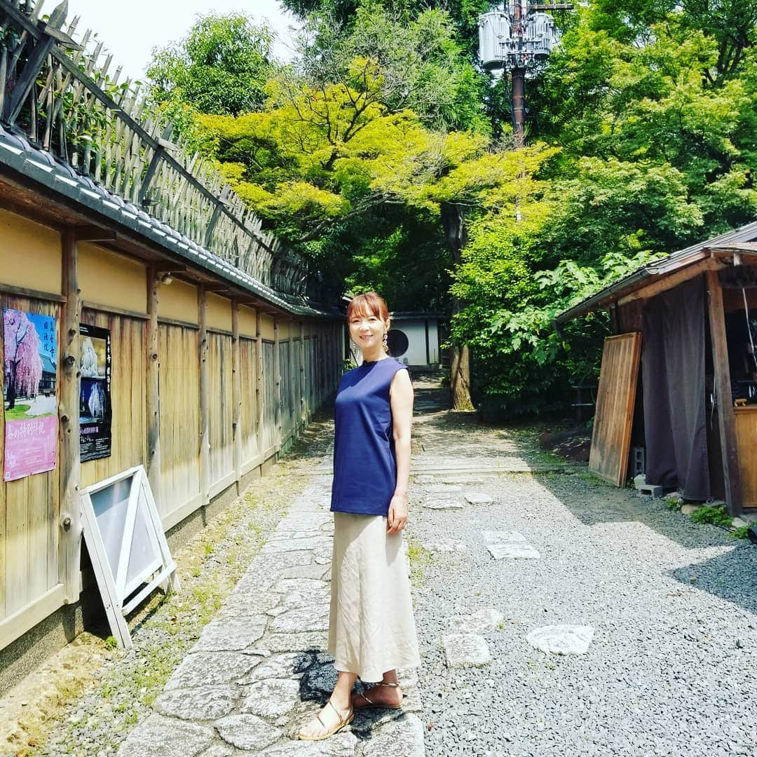 谷口キヨコさんのインスタグラム写真 - (谷口キヨコInstagram)「来週の谷口流々は高台寺へ。錦鯉が主人公かも…#谷口流々 #谷口キヨコ #kbs京都 #錦鯉 #わらび餅 #きよぴー #京都の名所」6月20日 11時59分 - kiyokotaniguchi