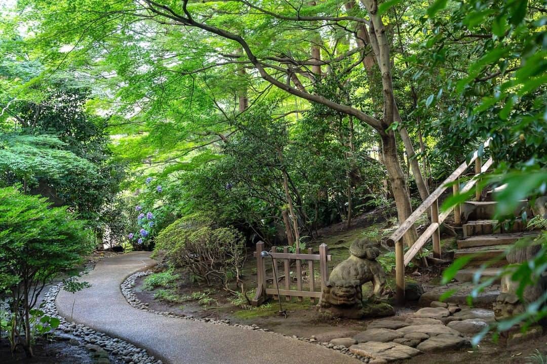 Relux | リラックスさんのインスタグラム写真 - (Relux | リラックスInstagram)「【閑静で洗練された大人の街に佇む、都会のオアシス】 . 📍シェラトン都ホテル東京 / 東京都  豊かな緑によって四季を感じる、都会とは思えない日本庭園が魅力。  ゆっくり読書をしたり、 音楽を聞いたり、木漏れ日の中でワインを飲んだりーー。 都会の喧騒から一歩離れ、自分自身をリセットするようなひと時をお過ごしください。 . @sheratonmiyakotokyo_official . #シェラトン都ホテル東京 #東京都 #都ホテル #シェラトン #東京旅行 #東京観光 #白金台 #日本庭園 #白金高輪 #ホテル好き #旅行気分  #国内旅行 #週末旅 #週末旅行 #大人の休日 #記念日旅行 #誕生日旅行 #温泉旅行 #旅館 #温泉旅館 #ホテル #ラグジュアリーホテル #リゾート #リゾートホテル #旅スタグラム #旅行好きな人と繋がりたい #unknownjapan #japantravelphoto」6月20日 12時00分 - relux_jp