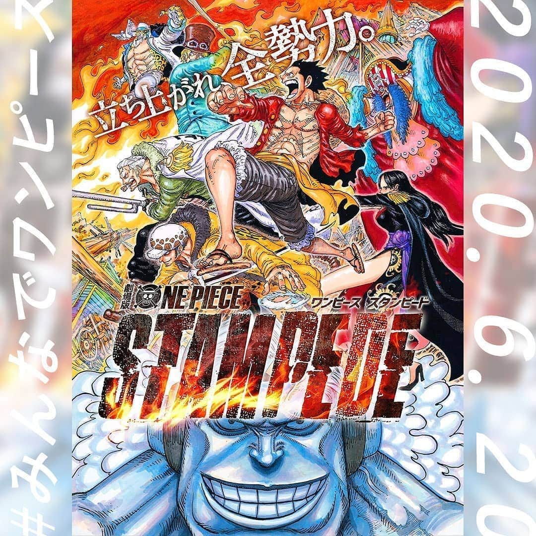 ONE PIECEスタッフ公式のインスタグラム