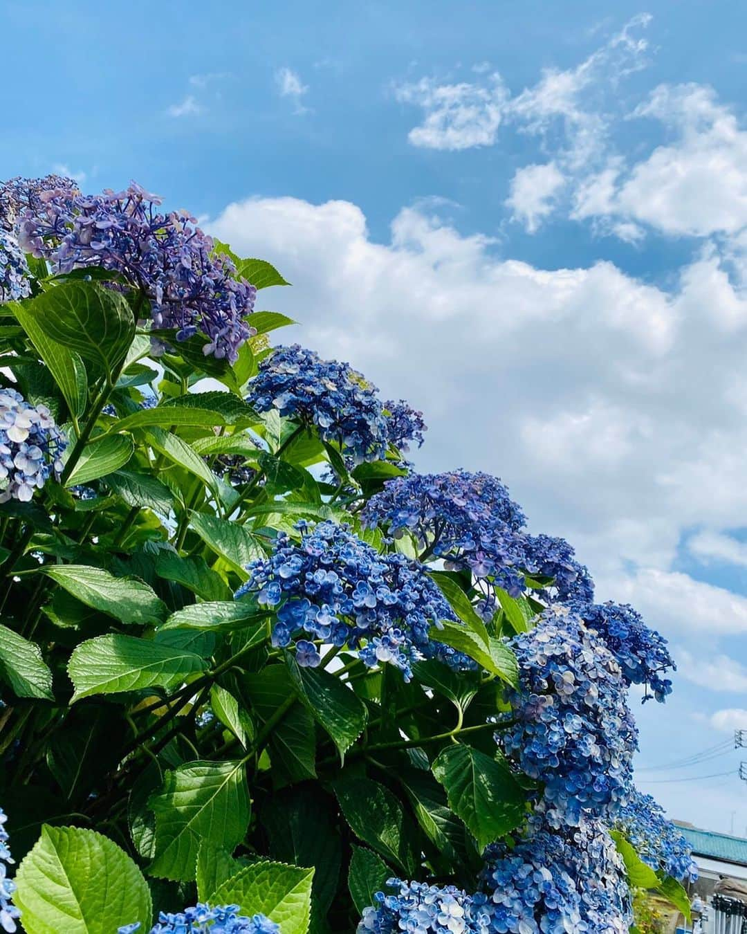 木村拓哉さんのインスタグラム写真 - (木村拓哉Instagram)「﻿ ﻿ 「今日は快晴‼︎﻿ 衣装の下は汗だくですが、撮影が出来て良かったです‼︎」﻿ ﻿ STAY SAFE‼︎﻿ ﻿ 拓哉﻿ #木村拓哉#TakuyaKimura」6月20日 12時54分 - takuya.kimura_tak