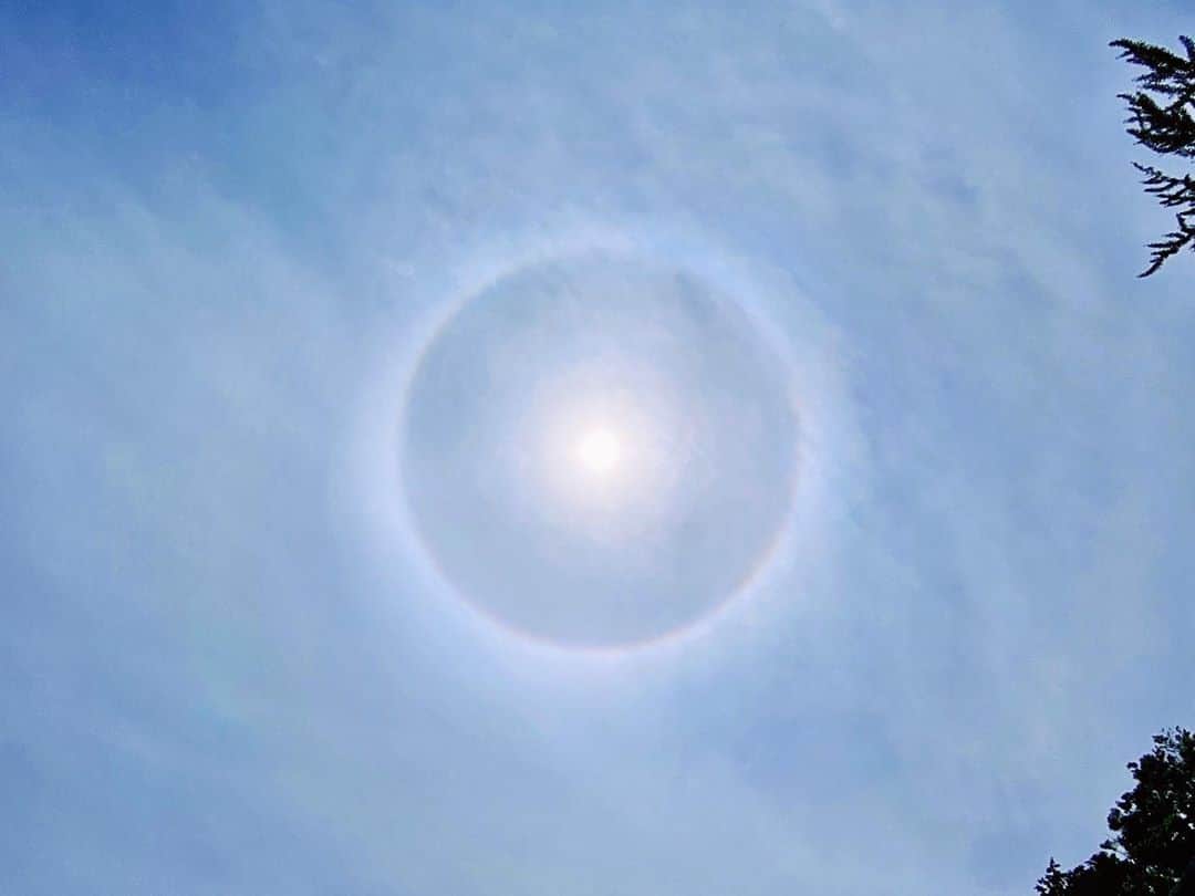南雲穂波さんのインスタグラム写真 - (南雲穂波Instagram)「ハロ〜🌈 明日の夕方は部分日食o(^o^)o ・ 木曜日の#ドデスカ! のお天気VTRに出てきた#ハロ が先ほど見えました🌞 太陽の周りに現れる虹のような光の輪、薄雲の中にある氷の結晶に太陽の光が屈折してできます❄️ ・ 上空が湿って薄い雲が広がる時に見られるので、天気が下り坂のサインと言われますが今日は違いそうですねー🙆‍♀️ 明日の夕方(｡-人-｡) ・ #日暈 #ドデスカ! #ド天気 #メーテレ #名古屋テレビ #アナウンサー #名古屋 #nagoya #南雲穂波」6月20日 13時58分 - honami_nagumo_nbn