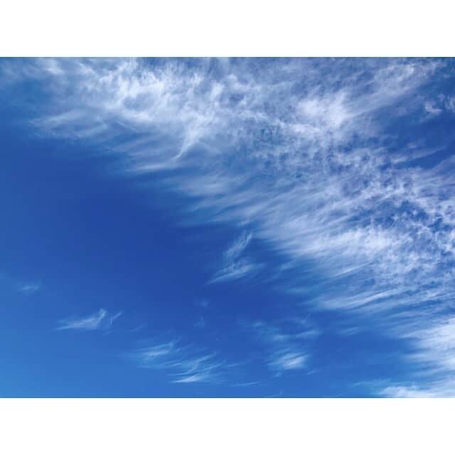山岸愛梨さんのインスタグラム写真 - (山岸愛梨Instagram)「最近見た青空で1番好き。明日は部分日食！日食グラスの準備はできていますか！？(o^^o)  #青空　#梅雨の晴れ間　#明日も晴れて　#明日は部分日食」6月20日 14時56分 - airi_yamagishi