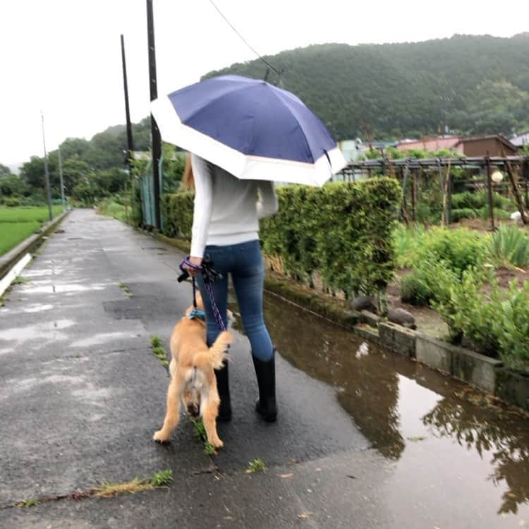 おーせさんのインスタグラム写真 - (おーせInstagram)「20206.19 雨の日のお散歩コーデ  梅雨らしい雨の降り具合！！！ コーデ詳細はブログから♡  #コーディネート #fashion #coordinate #ファッション #ママコーデ #プチプラ #今日の服 #プチプラコーデ #おしゃれ好きな人と繋がりたい #シンプル #大人スタイル #シンプルコーデ#おーせ#楽天#30代ママ#男児ママ#子育てママコーデ#好きなもの着たい#スキニー#LA#LAコーデ#おーせコーデ#LAファッション」6月20日 15時07分 - oosedon