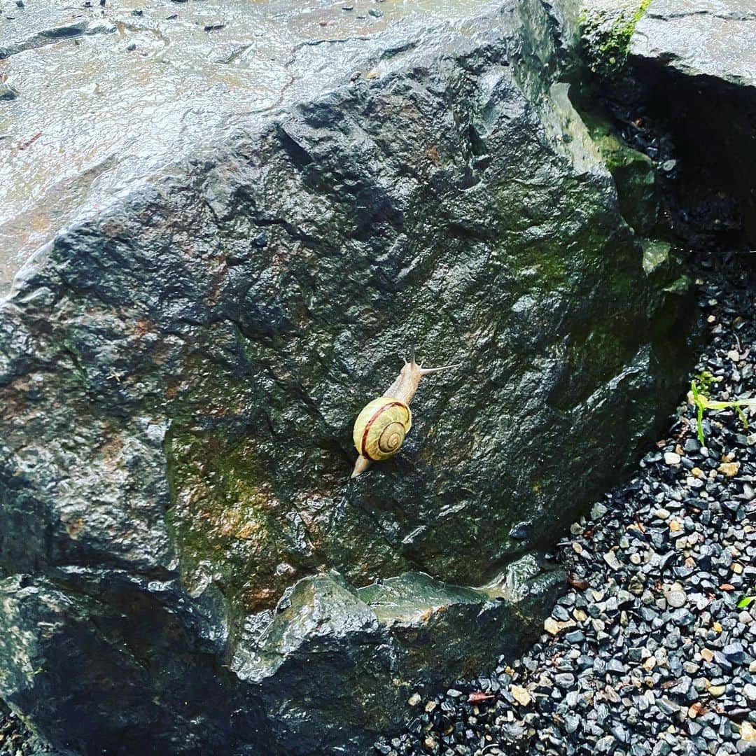 加藤啓さんのインスタグラム写真 - (加藤啓Instagram)6月20日 20時56分 - kato_kei