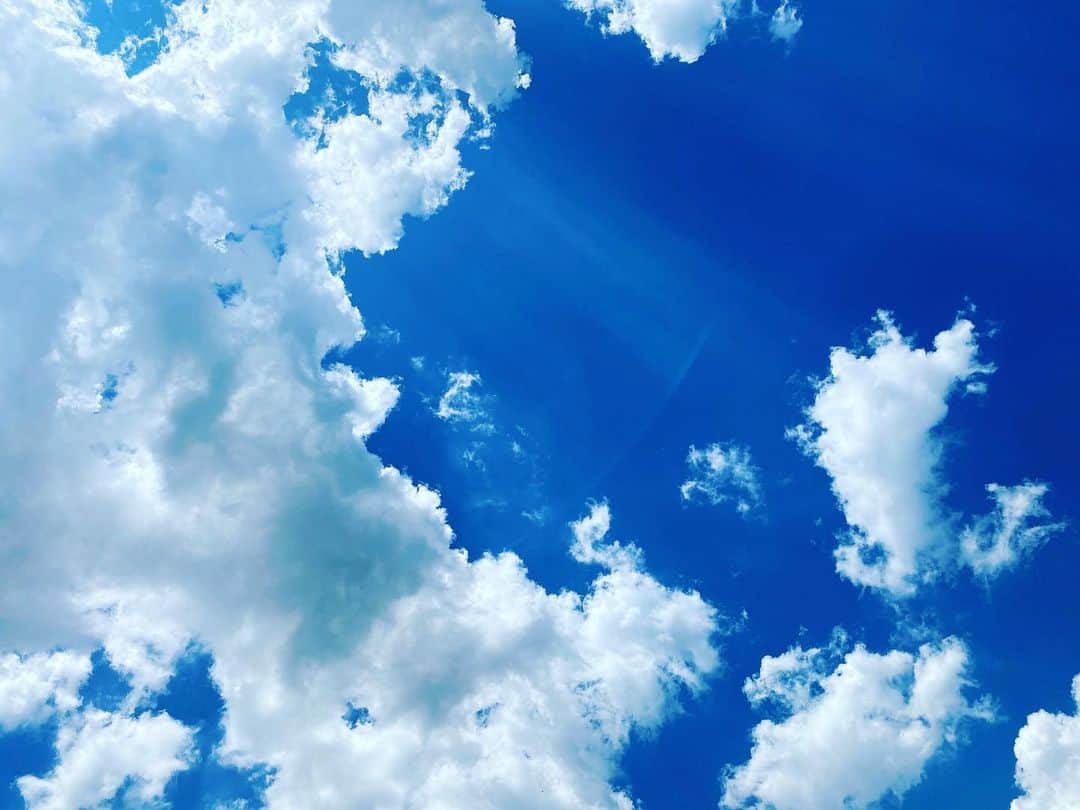橋本麗香のインスタグラム：「💙」