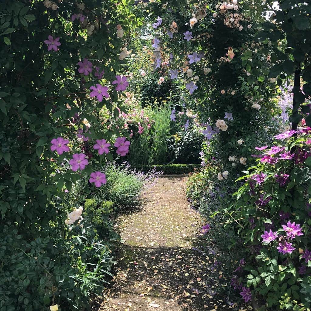 ドリス・ヴァン・ノッテンさんのインスタグラム写真 - (ドリス・ヴァン・ノッテンInstagram)「Have a nice weekend! #driesvannoten #garden #weekend」6月20日 15時53分 - driesvannoten