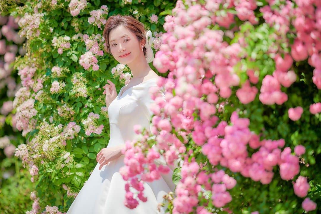 yumikatsuraのインスタグラム：「*﻿﻿ お花いっぱいのローズガーデンなら﻿ 流行りのフラワーウォールの撮影もお手のもの♡﻿ ﻿ 高級感たっぷりのモノマテリアルドレスをあわせて﻿ プリンセス気分をぜひ味わってみて💍﻿ ﻿ ロイヤルウエディングを彷彿させる﻿ サテンの柔らかな光沢感は凛とした佇まいの花嫁に﻿ 一層の知的な雰囲気を与えてくれます。﻿ 切り替え袖、立体的なアレンジリボン、贅沢に施されたくるみボタン…﻿ 一味違う360度美しいお洒落花嫁に👗﻿ ﻿ 【PY13031】﻿ ﻿﻿﻿﻿ -------------------------﻿﻿ たくさんの花嫁さまのご希望にお応えして、ユミカツラが手掛けるフォトプランが新登場✨﻿﻿﻿﻿ ﻿﻿﻿﻿ 国内・海外のスタジオやロケーションでの撮影プランをご用意。憧れのドレスで思い出に残る撮影をしたい！という花嫁さまの夢を叶えます♡﻿﻿﻿﻿ おふたりの記念に特別感のある思い出を作りたい、プリンセスのような体験をしてみたい、最高にハッピーな1日を過ごしたい、そんな皆様のお手伝いをさせていただきます！﻿﻿﻿ ﻿﻿﻿ パッケージプランは20万円台〜、オーダーメイドサービスあり。 ﻿﻿﻿﻿ マタニティフォトやアニバーサリーフォトの対応も可能。ウエディング撮影だけでなく、記念日や、お友達同士での撮影、ソロ撮影もご相談くださいませ。﻿﻿﻿﻿ ﻿﻿﻿﻿ 桂由美ブライダルハウス東京本店・大阪本店にて、お問い合わせ受付中です💍﻿﻿﻿﻿ -------------------------﻿﻿﻿﻿﻿﻿﻿﻿﻿﻿﻿﻿﻿﻿﻿ ﻿﻿﻿﻿﻿﻿﻿﻿﻿﻿﻿ 花嫁さまの憧れ「ジューンブライド（June bride）」とは、古くからヨーロッパで「6月に結婚する花嫁は幸せになれる」とされる言い伝え。そんなジューンブライドにちなんで、6月はユミカツラより、プレ花嫁さまを応援する夢の詰まった特別企画を毎週お届けします💐﻿﻿﻿﻿ 公式HP&インスタをチェックしてね！﻿﻿﻿﻿﻿﻿﻿﻿﻿﻿﻿ ﻿﻿﻿﻿ 6/22はスペシャルな企画を発表予定…♡﻿﻿﻿﻿ ぜひお楽しみに✨﻿﻿﻿﻿ ﻿﻿﻿﻿﻿﻿﻿﻿﻿﻿﻿ -------------------------﻿﻿﻿﻿﻿﻿﻿﻿﻿﻿﻿ ﻿﻿﻿﻿﻿﻿﻿﻿﻿﻿﻿ .﻿﻿﻿﻿﻿﻿﻿﻿﻿﻿﻿﻿﻿﻿﻿ .﻿﻿﻿﻿﻿﻿﻿﻿﻿﻿﻿﻿﻿﻿﻿ .﻿﻿﻿﻿﻿﻿﻿﻿﻿﻿﻿﻿﻿﻿﻿ @yumikatsurajapan﻿﻿﻿﻿ Photo @bananamonkeypictures﻿﻿﻿﻿ Hair&Make @hm_yuka﻿﻿﻿﻿ Model @yukikaneshiro﻿﻿﻿﻿ Location @keiseirosegarden﻿﻿﻿ #ウエディングドレス #ウエディングドレス選び #前撮り #前撮りドレス #ロケーションフォト #ロケーションフォトウェディング #ロケフォト #ガーデンウエディング #プレ花嫁準備 #プレ花嫁2020 #フォトウエディング #フォトウエディングドレス #ロングトレーン #運命のドレス #ウエディングドレス試着 #ウエディングフォト #桂由美 #桂由美ドレス #yumibrides #yumikatsura #プリンセスドレス #プレ花嫁応援 #オーダードレス #オーダードレスショップ #おしゃれ花嫁 #後撮り#後撮りドレス #ロイヤルウエディング #モノマテリアルドレス #リボンドレス」