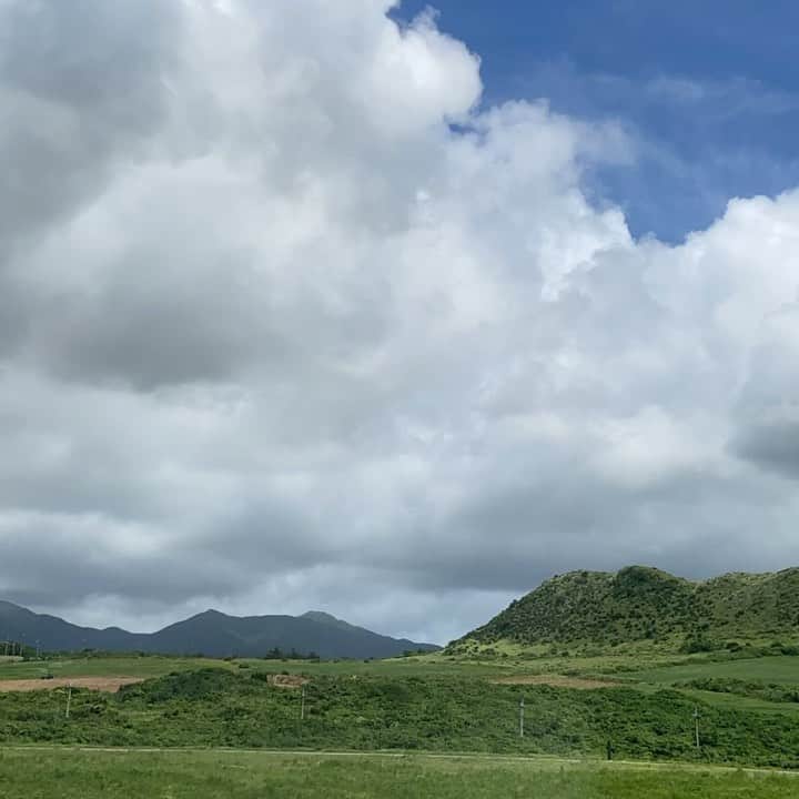 大阪ウシ子のグルメインスタ