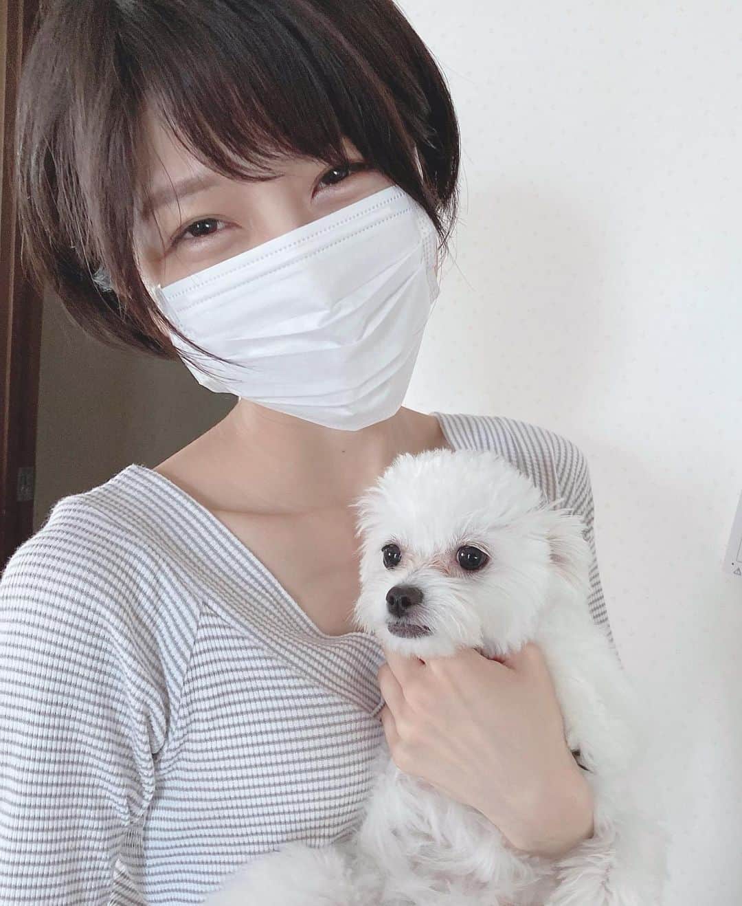 のインスタグラム：「* ･ 名古屋でのお仕事もあるので、 久しぶりに帰省しました。 そして、まるちゃん🐶との再会、、！ しっぽを振って飛びついてきて くれたときは嬉しすぎたよ🥺💞 まるちゃんがなかなかカメラを 見てくれないの図。(笑) ･ #まる🐶の日常 #愛犬 #まるちゃん #チワワ #トイプードル #ハーフ犬 #いぬすたぐらむ #可愛い #癒し #animal #dog #太田英里 #Bright #三重PR大使 #ミス桑名 #ナチュラルフードコーディネーター #健康食コーディネーター #釣りガール #女優 #モデル #model #actress #shorthair #ショートヘア #丸顔」