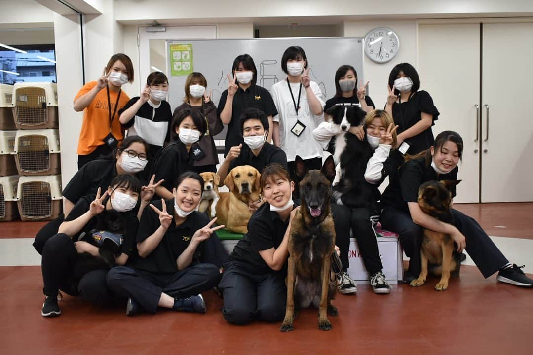 【公式】東京コミュニケーションアート専門学校ECOさんのインスタグラム写真 - (【公式】東京コミュニケーションアート専門学校ECOInstagram)「学校犬のEriccaが６歳の誕生日でした🎂﻿ ﻿ ドックトレーナー専攻の学生たちがご飯を作って誕生日パーティーを開催しました🎉﻿ ﻿ みんなにお祝いされて素敵な１日になったね🐕🤎﻿ ﻿ ・－・－・－・－・－・－・－・－・﻿ ﻿ 学校説明会やオープンキャンパスも実施しておりますので、 ぜひご参加ください🗣﻿ ﻿ ・－・－・－・－・－・－・－・－・﻿ ﻿ #tca東京eco動物海洋専門学校 #tcaeco #動物 #海洋 #ペット#自然環境#恐竜#専門学校#犬#大型犬#学校犬#マリノア#ドックトレーナー#ドックトレーナー専攻#ericca#6歳#誕生日#おめでとう#進路」6月20日 18時15分 - tca_eco