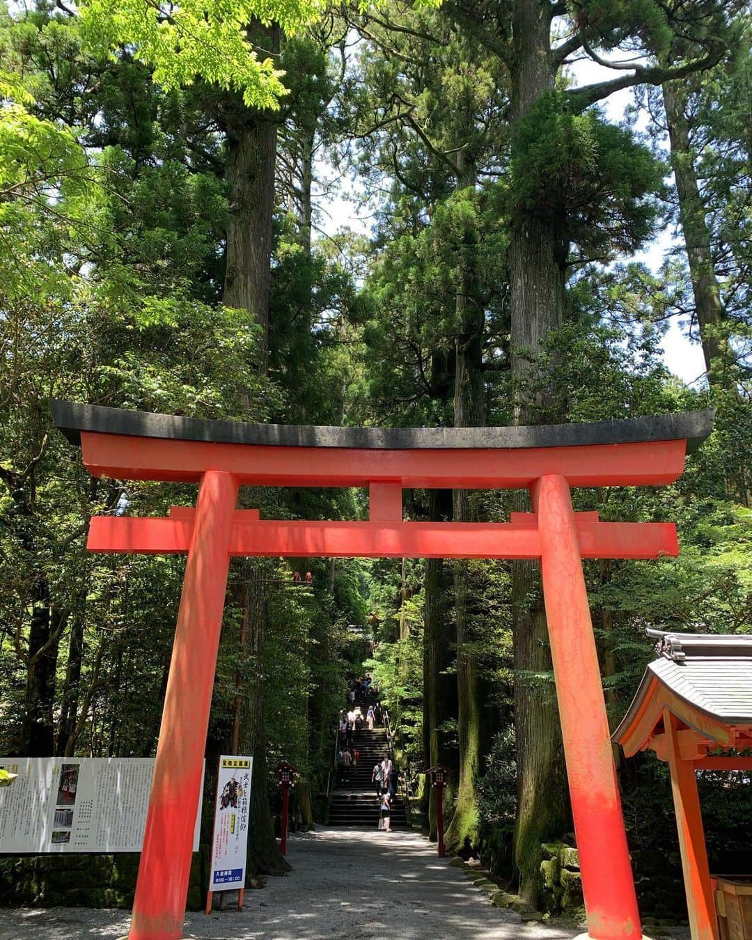 福井晶一さんのインスタグラム写真 - (福井晶一Instagram)「半年ぶりの箱根神社⛩﻿ ﻿ #箱根神社﻿ #九頭龍神社﻿ #芦ノ湖﻿ #平和祈願」6月20日 18時31分 - shoichi.fukui