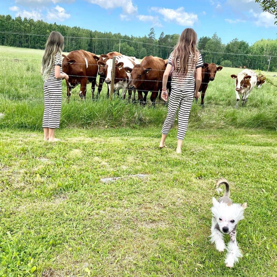 B. Akerlundさんのインスタグラム写真 - (B. AkerlundInstagram)「Swedish summer 🇸🇪 ❤️ ...... @akerlundtwins & @bootzy_smallz #nakenhund #kinesisknakenhund #chinesecrested」6月20日 18時39分 - bcompleted