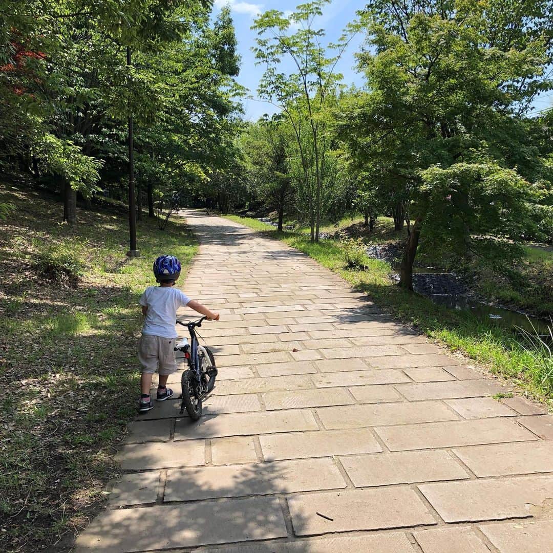 諸岡なほ子さんのインスタグラム写真 - (諸岡なほ子Instagram)「横浜サイクリング。 夫と息子は脚力勝負、私は電動アシストのママチャリで（笑。 緑が多くてきれいだなぁと思うこと多々。今日は光が最高だった。 息子はタニシの匂いを嗅いでいた。謎。 池の畔のピンクのホワホワした花は多分オヒアレフア、ハワイで取材した。切ない恋人たちの物語があって、この花を摘むと雨が降るとか。」6月20日 18時53分 - morookanahoko