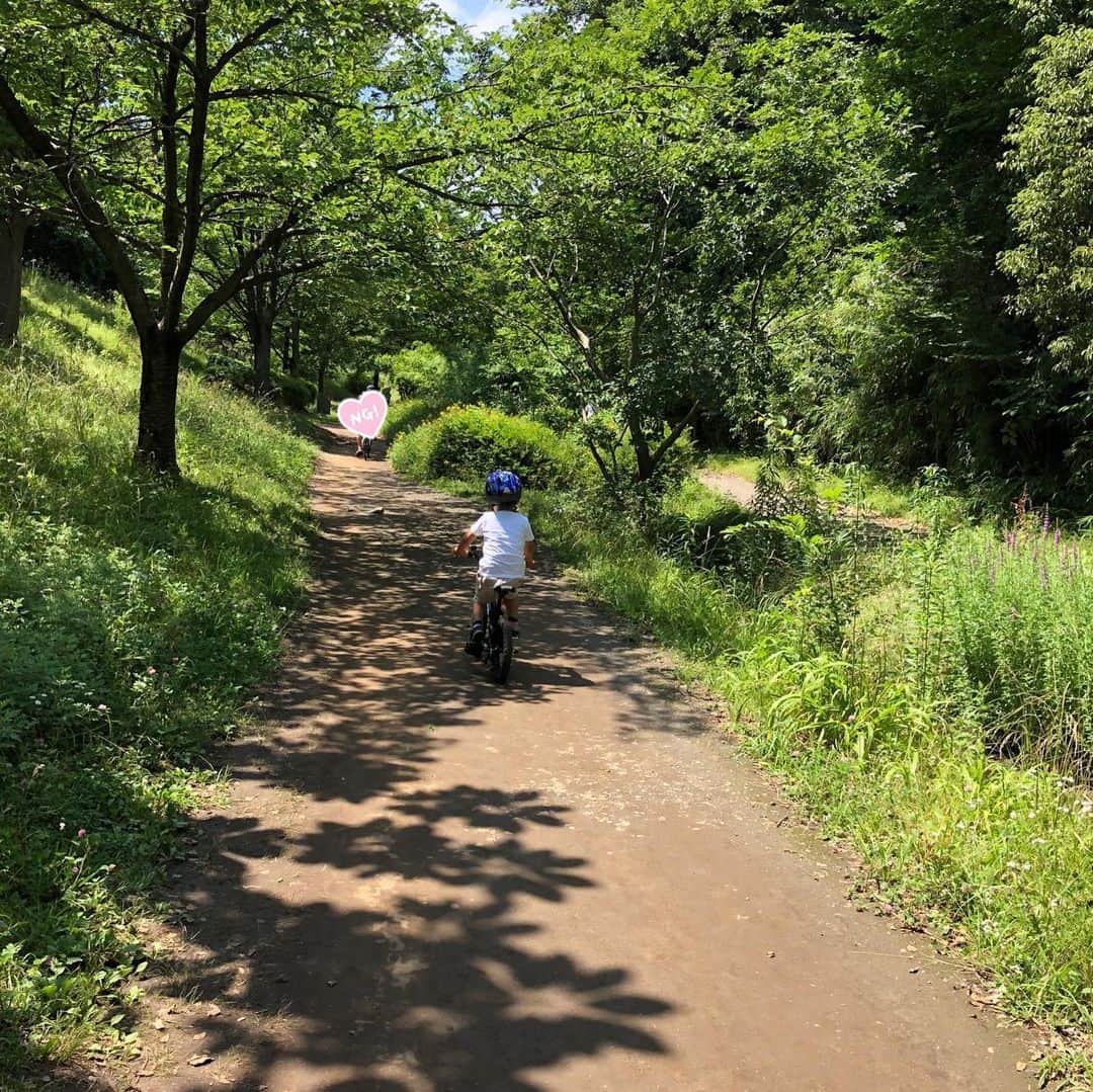 諸岡なほ子さんのインスタグラム写真 - (諸岡なほ子Instagram)「横浜サイクリング。 夫と息子は脚力勝負、私は電動アシストのママチャリで（笑。 緑が多くてきれいだなぁと思うこと多々。今日は光が最高だった。 息子はタニシの匂いを嗅いでいた。謎。 池の畔のピンクのホワホワした花は多分オヒアレフア、ハワイで取材した。切ない恋人たちの物語があって、この花を摘むと雨が降るとか。」6月20日 18時53分 - morookanahoko