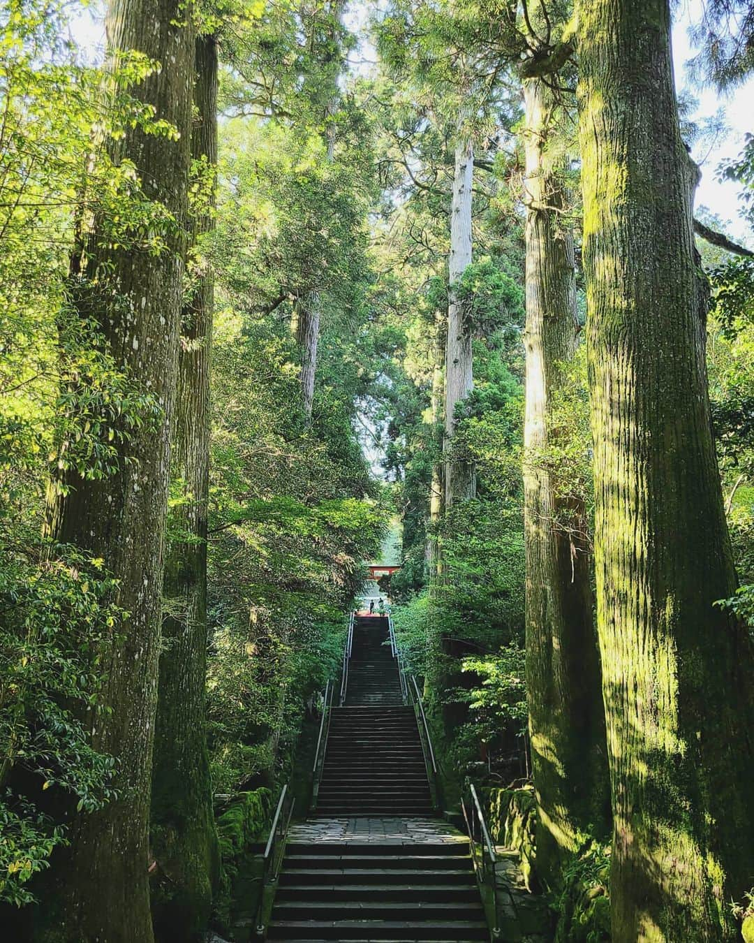 masayaさんのインスタグラム写真 - (masayaInstagram)「Hakonejinja Shrine 平日午後の箱根神社 静かでした。 #TeamGalaxy #withGalaxy #ambassador　@galaxymobilejp」6月20日 18時59分 - moonlightice