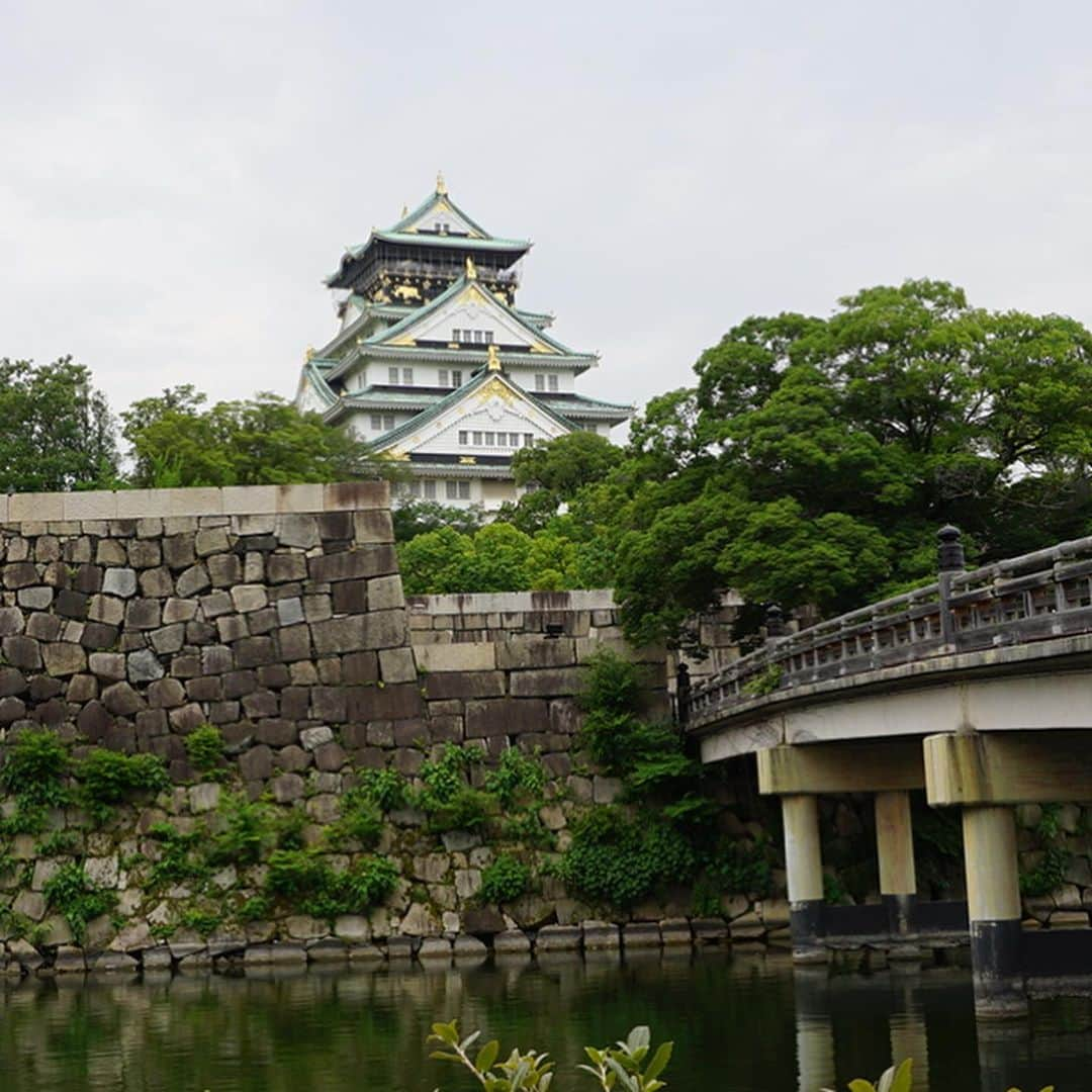 凰津りささんのインスタグラム写真 - (凰津りさInstagram)「大阪城🏯 . . 何度行っても素晴らしい✨ 先日の水上アクアライナーの後は大阪城の天守閣へ行きましてん。 . . めっちゃガラガラで安心して大阪城を堪能する事が出来ました✨ . 特別公開中の櫓まで見れたし🏯 いやぁ、ホント凄い偉大な城やな。 山里曲輪から毎回入城してしまうんだけども、葵三代見た後に行くとまた前回とは違う気持ちで入城してしまっている自分がスキ❤️ww . たいちゃんの城作りもいつも間近で見ているから、尚のこと大阪城を楽しめる。 あ、ここ今作ってるところやー✨ ってw . 天守閣を8階まで上がるのしんどかったけど、何度も楽しめる大阪城🏯 . お弁当作って行ったから途中休みながら家族で久々にピクニック出来て良き良き❤️ . . 子連れで飲食店は気を使うから お弁当作って行ったら楽チンね✨ 利直、お子様ランチ完食するから怖や怖や💦 . . #大阪城 #大阪城天守閣 #大阪城でピクニック  #徳川大阪城」6月20日 19時05分 - outsu.risa95