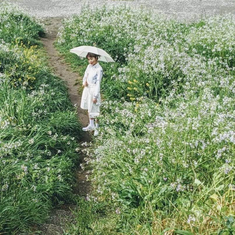 のインスタグラム：「・ JELLY7月号 『めいのサマーヴィンテージ』 の撮影風景🤍💚 ・ 絵になる、ってまさにこのこと...🥺？ 春のお花に囲まれためいたん、 最高にかわいい😍😍👍🏻 ・ #jelly#jelly7月号#ヴィンテージ#古着#古着コーデ#オールホワイト#白コーデ#ワントーンコーデ#ハーフパンツ#シャツ#花柄シャツ#スニーカー#スニーカーコーデ#夏服#クール#おしゃれ#おしゃれさんと繋がりたい#かわいい #vintage#vintagefashion#ootd#outfit#japanesegirl#cool#kawaii#mode#simple#street#今日からクールな女の子#田中芽衣」