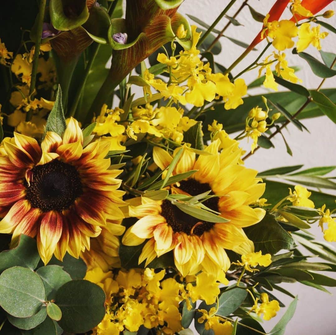 MILLE ECLAT.のグルメインスタ