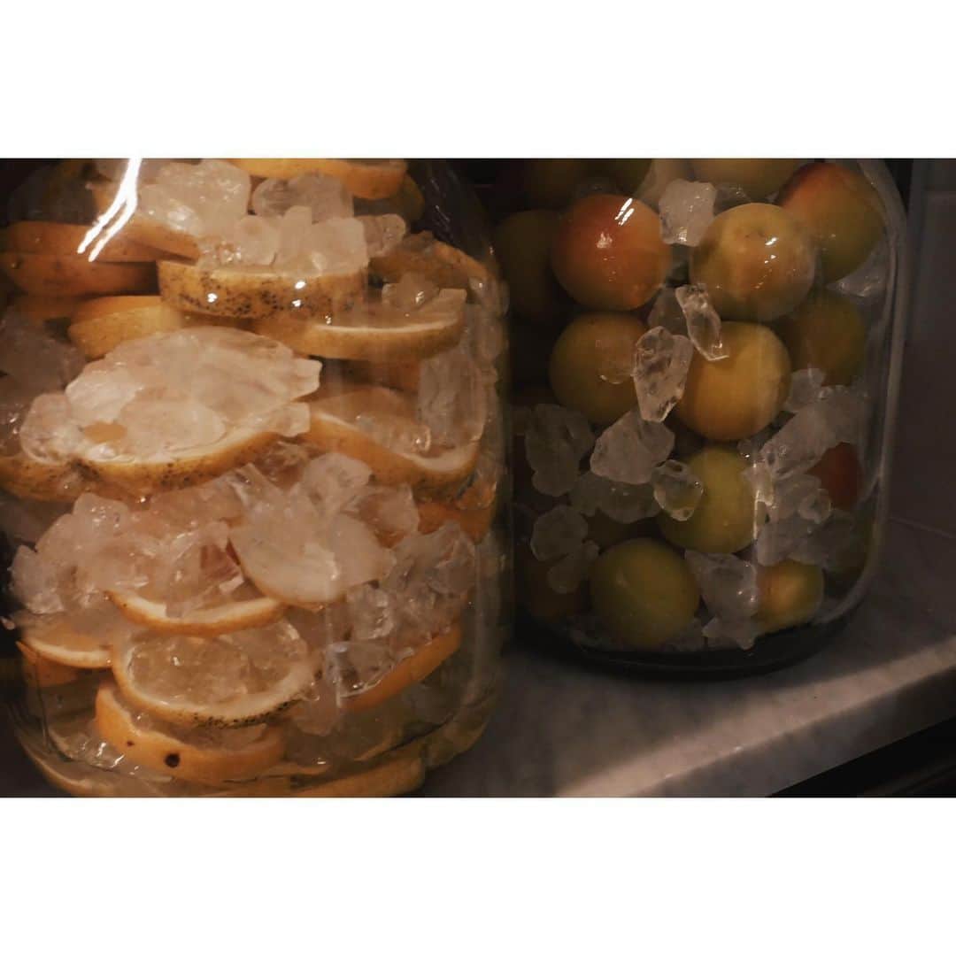 eriさんのインスタグラム写真 - (eriInstagram)「無農薬レモン🍋と南高梅🌱で会社のシロップづくり。みんなで夕飯の後、梅を拭いたりレモン切ったり楽しかった。 たくさんシロップ作って、みんなが一休みの時にジュースを飲めるように〜🍹　#デプトカンパニーのたのしみ」6月20日 21時17分 - e_r_i_e_r_i