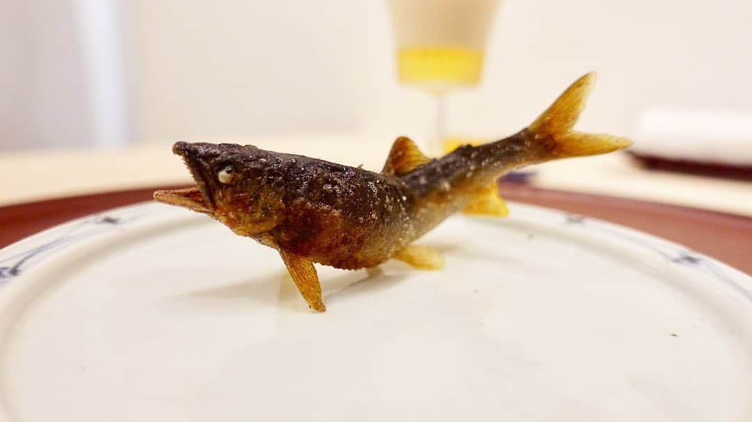 IKKO’S FILMSのグルメインスタ