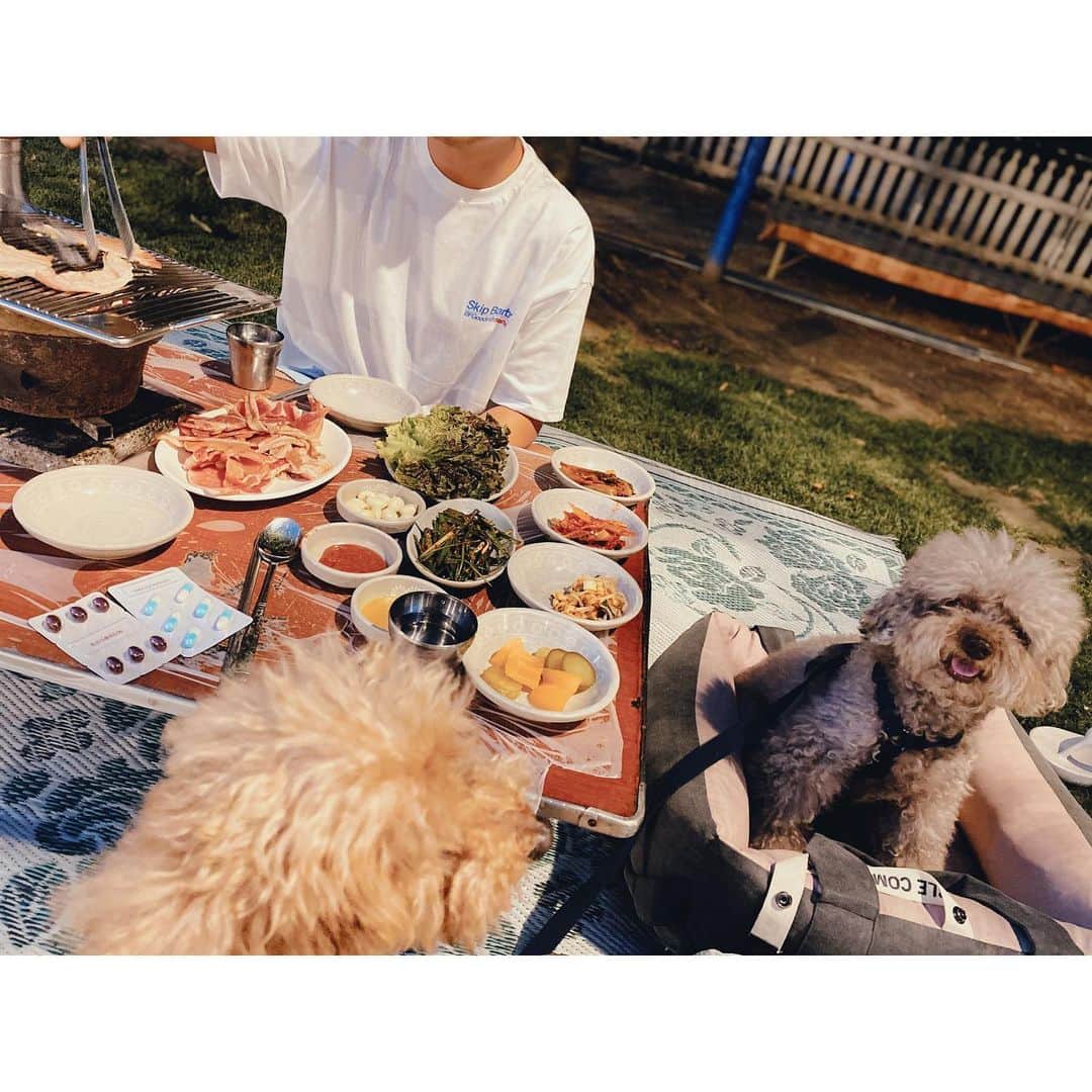 キム・ジュニさんのインスタグラム写真 - (キム・ジュニInstagram)「금남멧돼지 잘 다녀왔어요 여긴 한번 가본걸로 만족하는걸로🙄 . #JunielovesMongandMoca」6月20日 21時33分 - evajunie