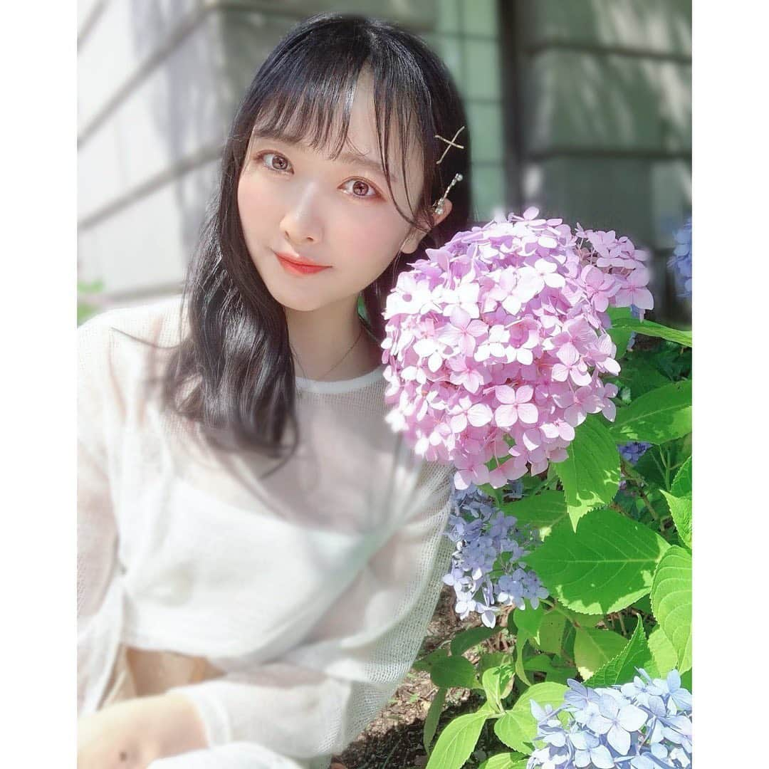 石田千穂さんのインスタグラム写真 - (石田千穂Instagram)「． 紫陽花〜💠 今日太陽さんさんでしたね、！ #花 #紫陽花 #ootd #dazzlin #STU48 #石田千穂」6月20日 21時38分 - chiho_ishida