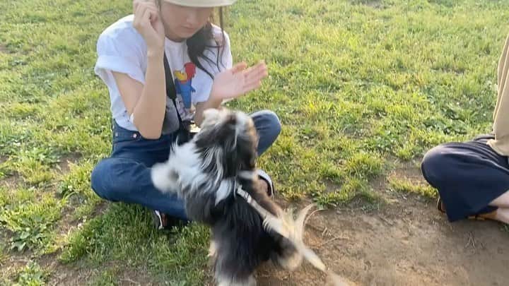 仁村紗和のインスタグラム：「一生懸命な君が大好きです。  ジョージくん。」