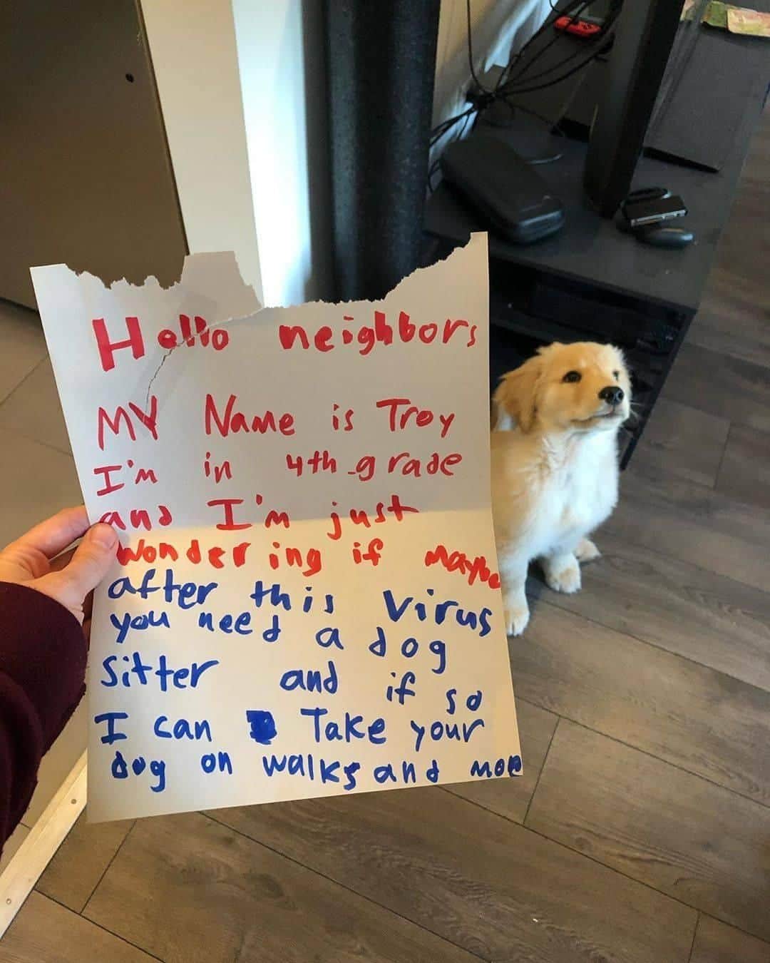 8crapさんのインスタグラム写真 - (8crapInstagram)「“4th grade neighbor visited with a note” - Want to get featured like him? Join “The Barked Club” on FACEBOOK and post something now! 👉 barked.com - 📷 @arthurthefloof - #TheBarkedClub #barked #dog #doggo #puppy #pupper #GoldenRetriever #GoldenRetrieverPuppy」6月20日 22時08分 - barked