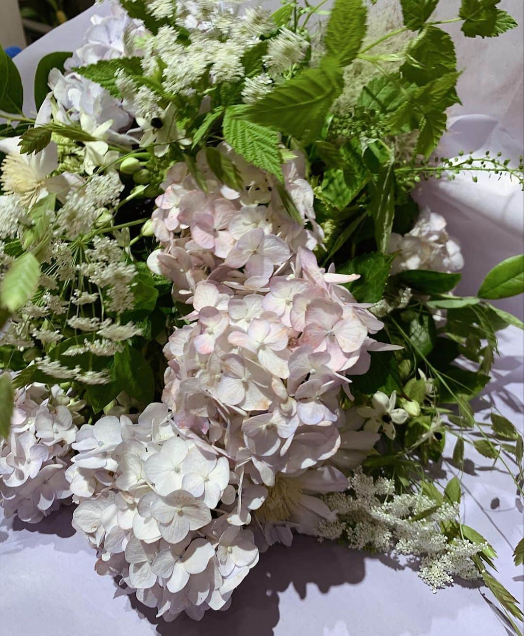 正中雅子のグルメインスタ