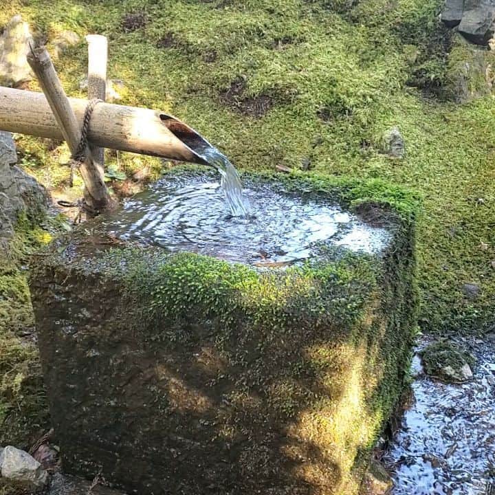 市川笑野のインスタグラム