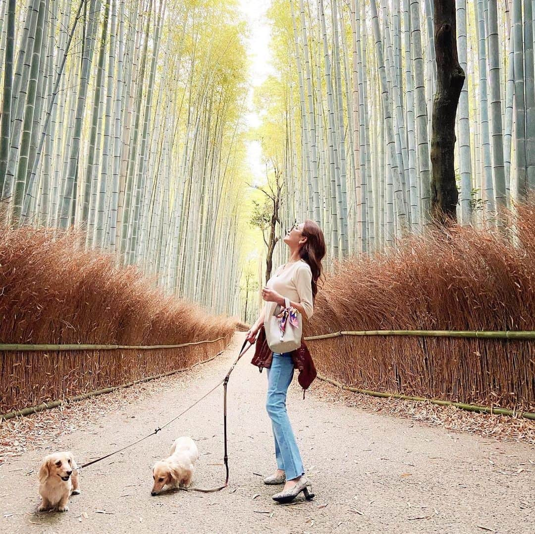 鈴木絢子のインスタグラム