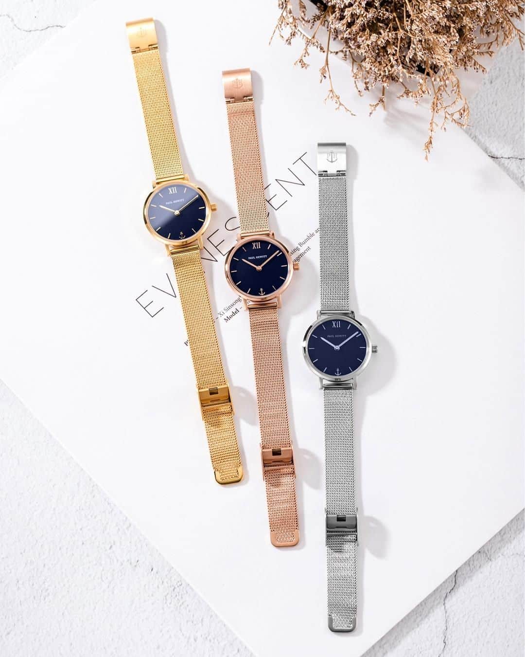 PAUL HEWITTさんのインスタグラム写真 - (PAUL HEWITTInstagram)「The Sailor Modest - our all time favourite. 💘 Which one is your favourite? Gold, Rose Gold or Silver? ✨⚓️ #getAnchored #paulhewitt #sailormodest __ #watch #smallwatch #rosegold #gold #silver #stainlesssteel #womenswatch #womensinspo #watches #accessories」6月21日 1時02分 - paul_hewitt