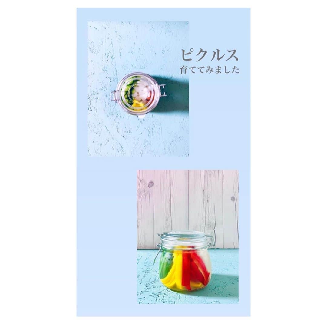 小林由佳のインスタグラム：「▷ピクルス  ・お好みの野菜 ・パプリカ ・きゅうり ・セロリ ・大根 ・ニンジン ・酢 ・かんたん酢 ・鷹の爪　1本  ①野菜を好きな形に切って瓶に敷き詰める。 ②瓶に酢とかんたん酢を入れる。かんたん酢がなければ酢と砂糖で◎。 ③輪切りにした鷹の爪を入れる ④完成!🙌🏻𓀂  #YKitchen👩🏻‍🍳 #ピクルス」