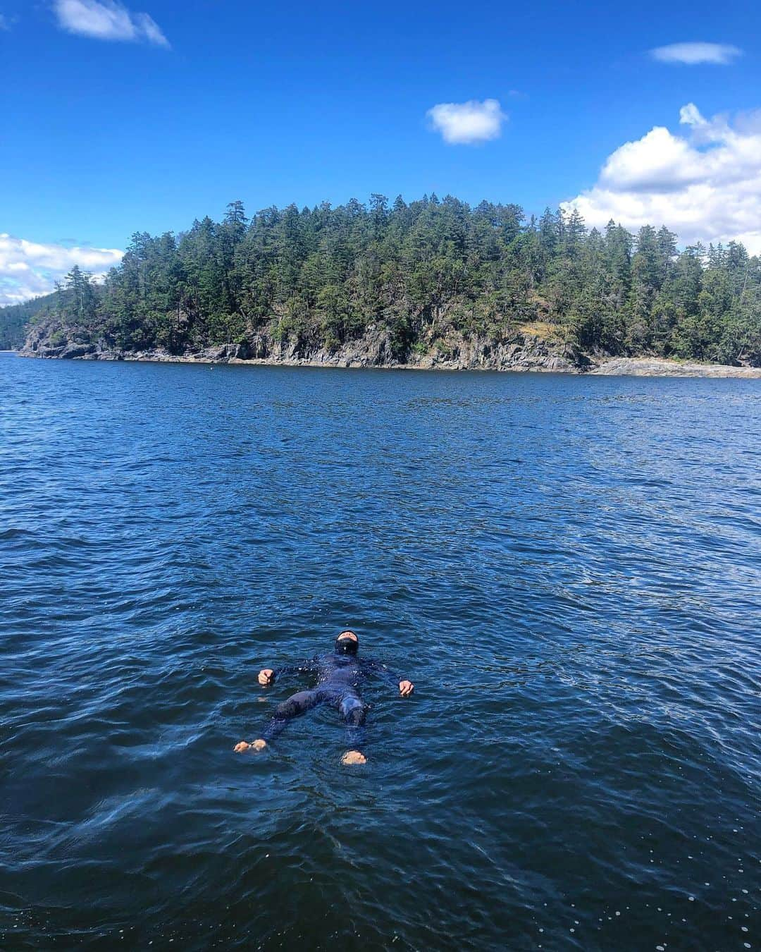 シーン・マコールさんのインスタグラム写真 - (シーン・マコールInstagram)「Weekend Vibes 🦦 Head First Dives 🐬 Joining the Tribe 🏊‍♂️ ⠀⠀⠀⠀⠀⠀⠀⠀⠀ Many were asking, why the wetsuit? 🧐 Sadly no waves thus no surfing but I threw it on to do a *long distance swim for the first time. (It’s an old bucket list item of mine to complete an Olympic triathlon, and I already know the swim will be the hardest part for me. I’m a sinker and swimming for more than 5 minutes is hard) 😵 ⠀⠀⠀⠀⠀⠀⠀⠀⠀ I jumped in the water and wanted to swim ~750m to get in half the Olympic swimming distance. When I realized I could float while resting, eventually I went the full distance and I’m happy to report I’ve now completed my first ever 1500 meter swim! This was quite hard for me, and I spent the better part of an hour recovering from it. The good part was that it was mostly my arms which were fatigued and having to jump on a bike might not be so bad 🤷‍♂️ ⠀⠀⠀⠀⠀⠀⠀⠀⠀ I hope everyone has a good weekend planned! ⠀⠀⠀⠀⠀⠀⠀⠀⠀ ⠀⠀⠀⠀⠀⠀⠀⠀⠀ ⠀⠀⠀⠀⠀⠀⠀⠀⠀ ⠀⠀⠀⠀⠀⠀⠀⠀⠀ ⠀⠀⠀⠀⠀⠀⠀⠀⠀ @adidasterrex | @scarpana | @joerockheads | @verticalartclimbing | @flashedclimbing | @perfect_descent | @CANFund | @visaca #verticalart #CANFund #TeamVisa #climbing #train #canada #athlete #sports #power #fitness #work #workhard #workout #strength #ninja #gym #fun #business #challenge」6月21日 1時54分 - mccollsean