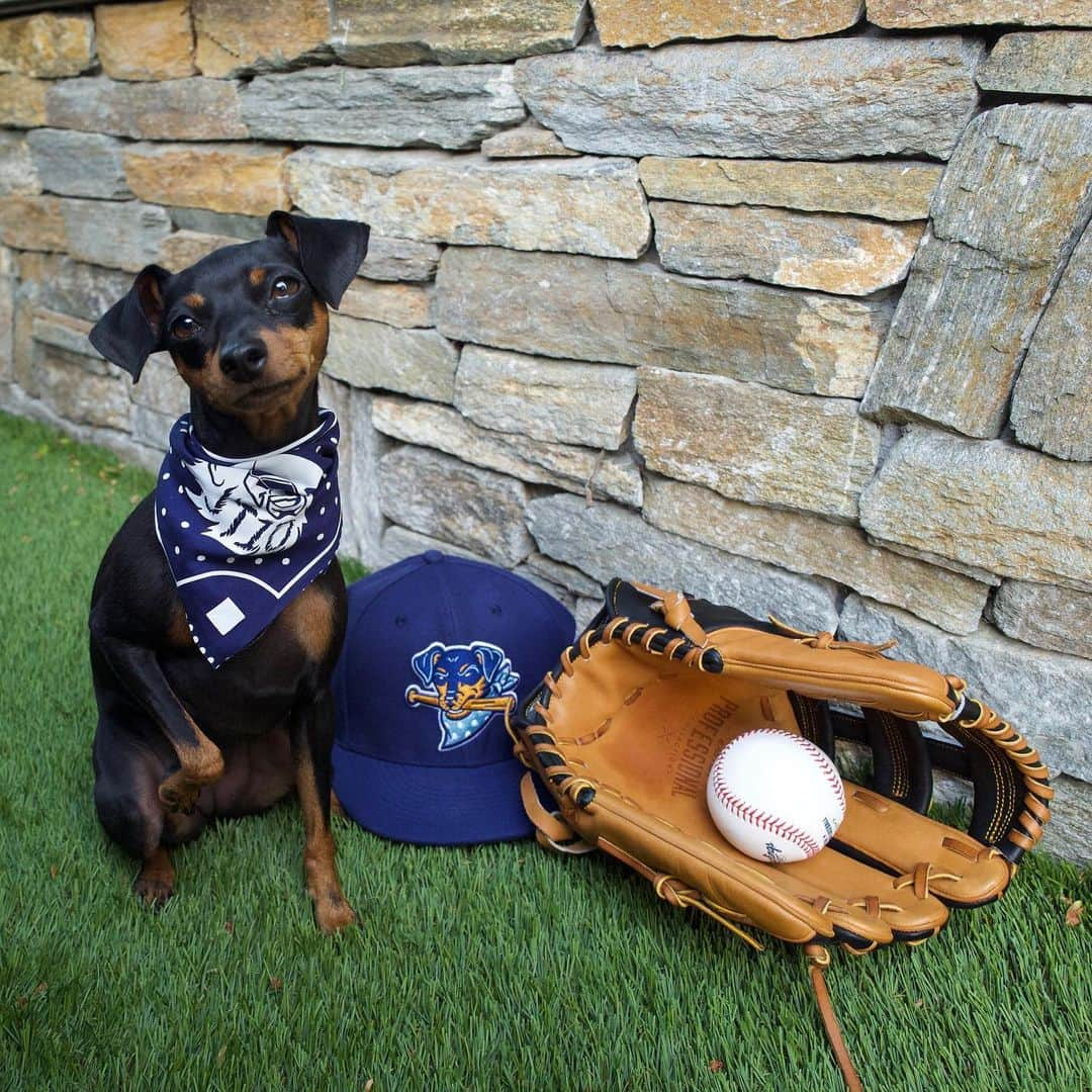 ジャスティン・ターナーさんのインスタグラム写真 - (ジャスティン・ターナーInstagram)「Raise your paw if you want to join @moonshineminpin in fighting COVID-19.⁣ ⁣ @baseballism has launched their #MoonOnAMission limited edition line to help the @jtfoundation10 raise money for COVID relief. ⁣ ⁣ With every item purchased, $10 will go to the foundation!  Link in my bio」6月21日 1時57分 - redturn2