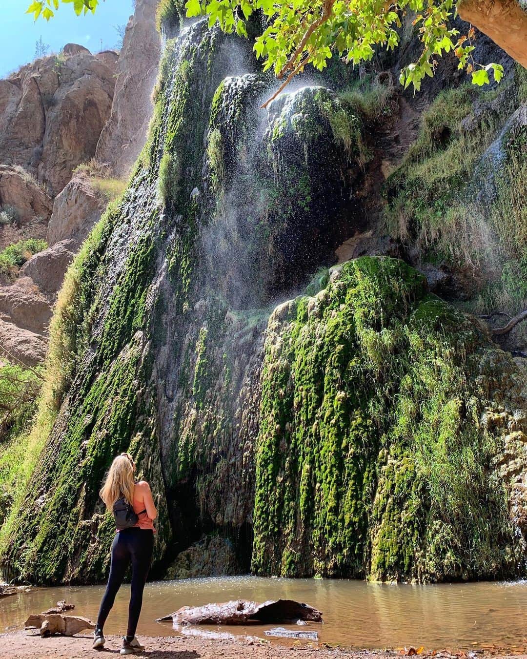 Stephanie Brantonのインスタグラム：「Grace is finding a waterfall when you were only looking for a stream💙🌿🌱💚」