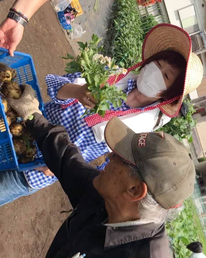 神野美伽のインスタグラム