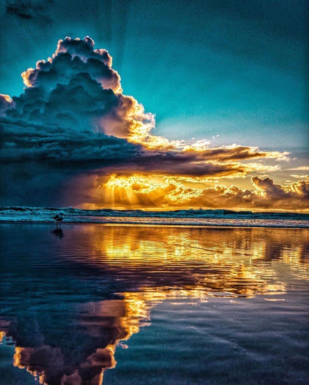 Canon Photographyさんのインスタグラム写真 - (Canon PhotographyInstagram)「Some crazy Australian sunset 🌅 Photography | @benmuldersunsets Curated by @steffeneisenacher  #australia #seeaustralia #goldcoast #surfersparadise #sunsetphotography」6月21日 6時40分 - cpcollectives