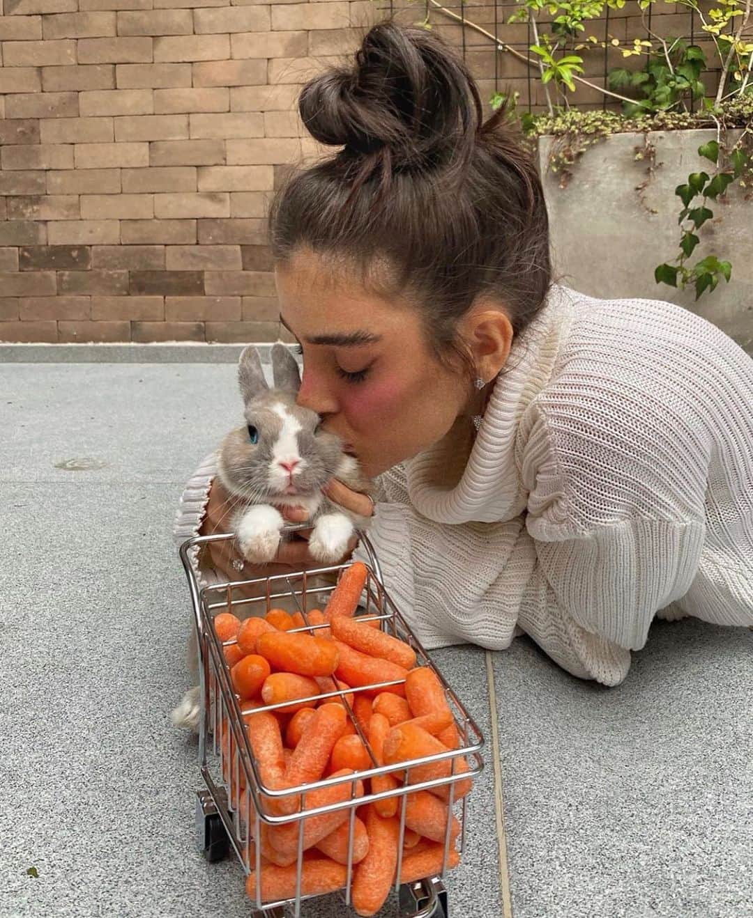 WildLifeのインスタグラム：「So cute ❤️ Photo via @livia」