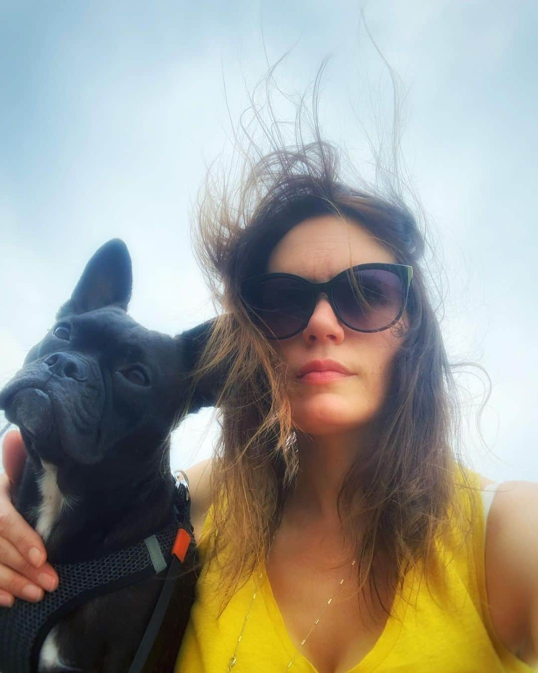 エミリー・スワローさんのインスタグラム写真 - (エミリー・スワローInstagram)「Thelma and Louise? * * * #roadtrip #crosscountry #roadwarriors #frenchtonsofinstagram #dogstagram #oregon #arewethereyet」6月21日 7時15分 - bigeswallz