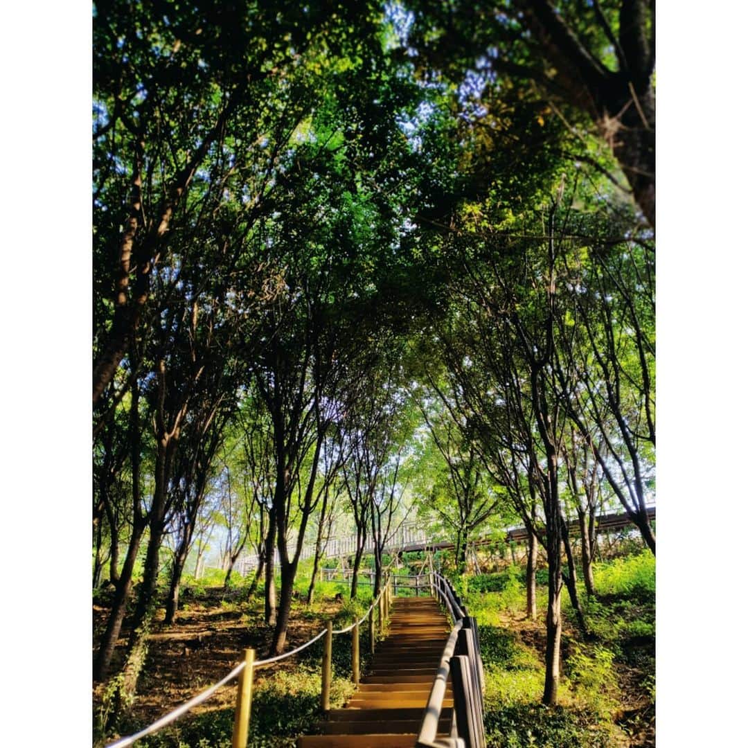 ソ・ユジンさんのインスタグラム写真 - (ソ・ユジンInstagram)「햇살이 너무 좋아 혼자 걷기 아까웠던 아침산책길 🌿」6月21日 7時42分 - yujin_so