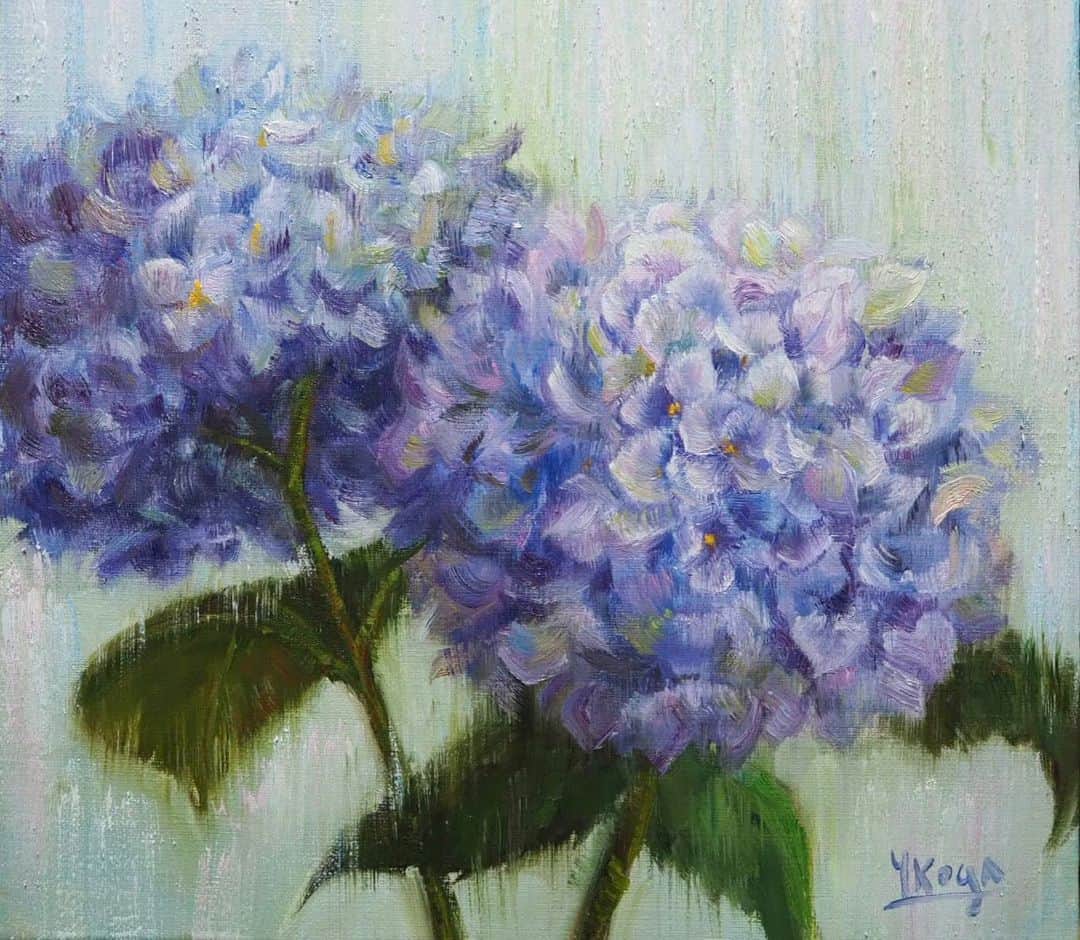 古賀陽子のインスタグラム：「#hydrangea #あじさい #アジサイ  #exhibition #exhibit #art #instaart #instaartist #artist #artwork #gallery #stilllife #painting #academic #academicart #artseeking #アート #アーティスト #アートワーク #画家 #美術館 #作品 #油絵 #絵画展 #静物画 #ギャラリー #個展 #神戸  #yokokoga #古賀陽子」