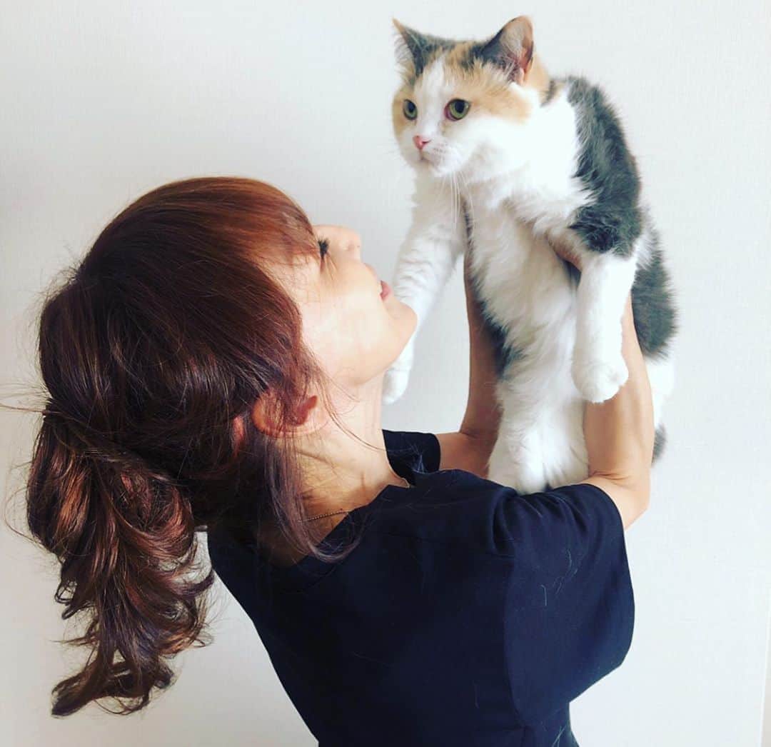 杏子さんのインスタグラム写真 - (杏子Instagram)「#CoCo . #7才 . 完璧に #いやがってる ぅ😝 . #スコティッシュフォールド  #立ち耳スコ #猫」6月21日 8時22分 - kyoko_anzu