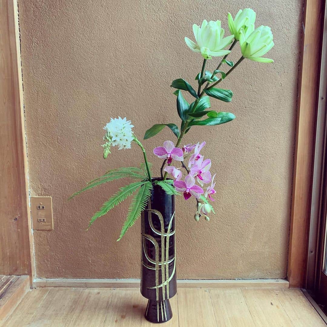沖野修也さんのインスタグラム写真 - (沖野修也Instagram)「#ikebana」6月21日 9時00分 - shuyakyotojazz