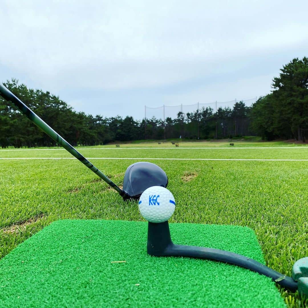 TOGGYのグルメインスタ