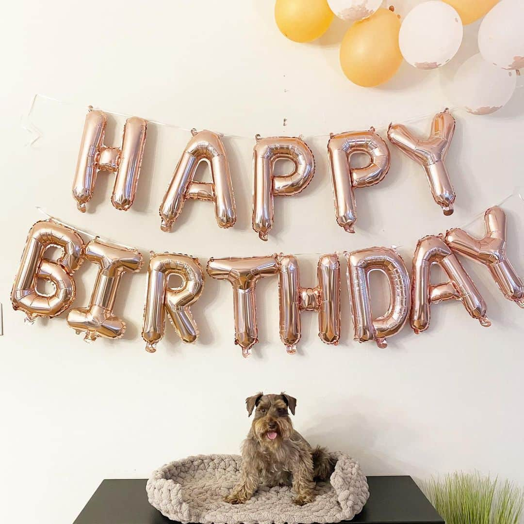 BING & WALTERのインスタグラム：「8 and feeling great! 💁‍♀️ #happybirthday」